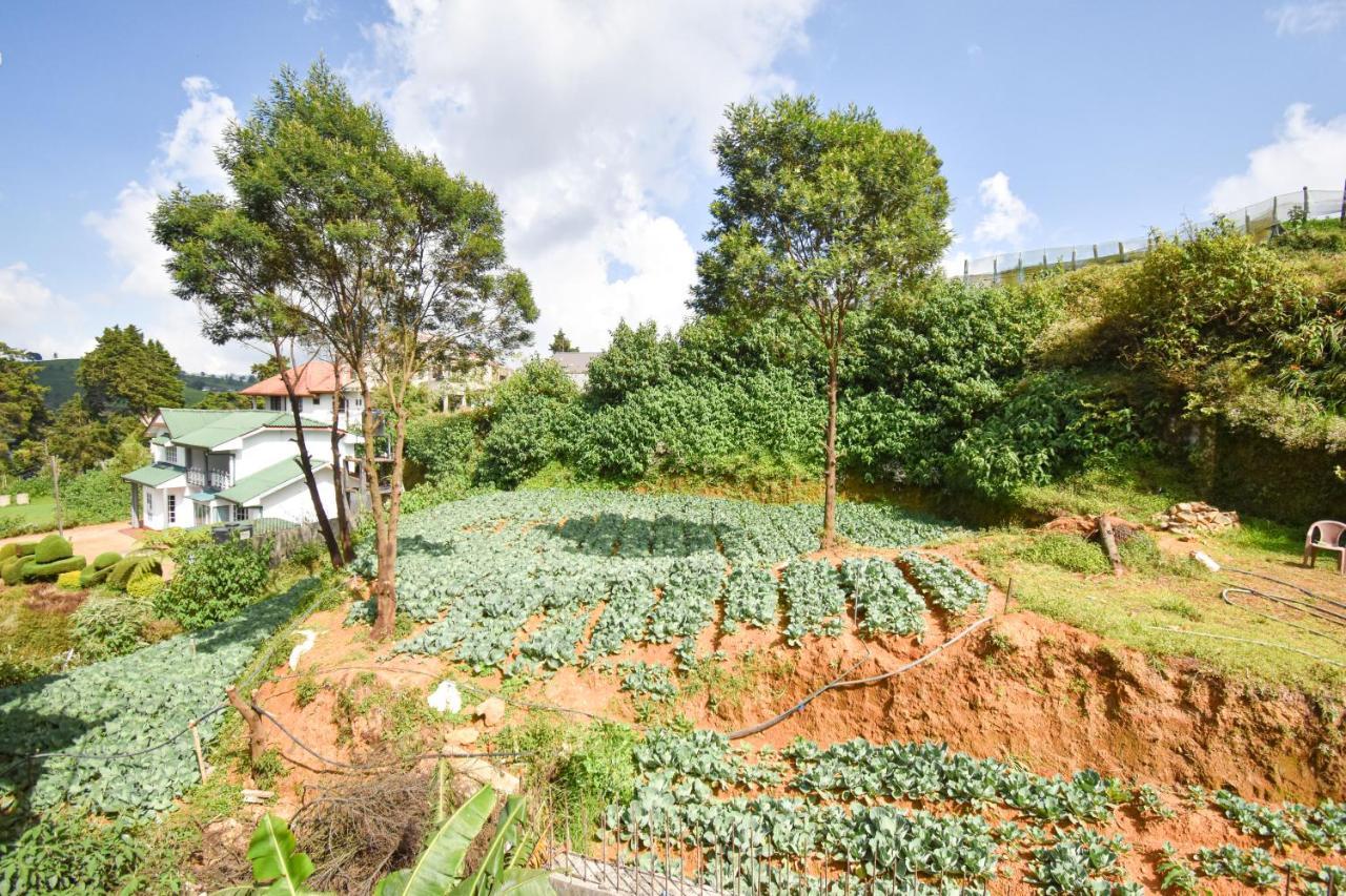 St. Anne Holiday Bunglow Nuwara Eliya Dış mekan fotoğraf