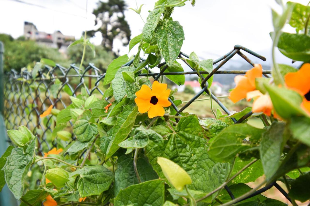 St. Anne Holiday Bunglow Nuwara Eliya Dış mekan fotoğraf